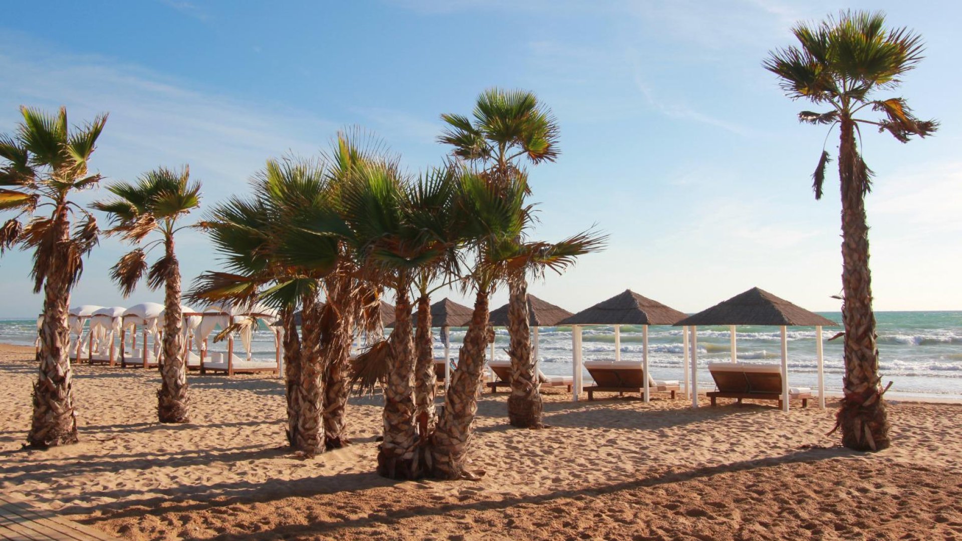 Resale - Apartments -
Guardamar del Segura