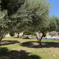 Resale - Apartments -
Orihuela Costa - Blue Lagoon