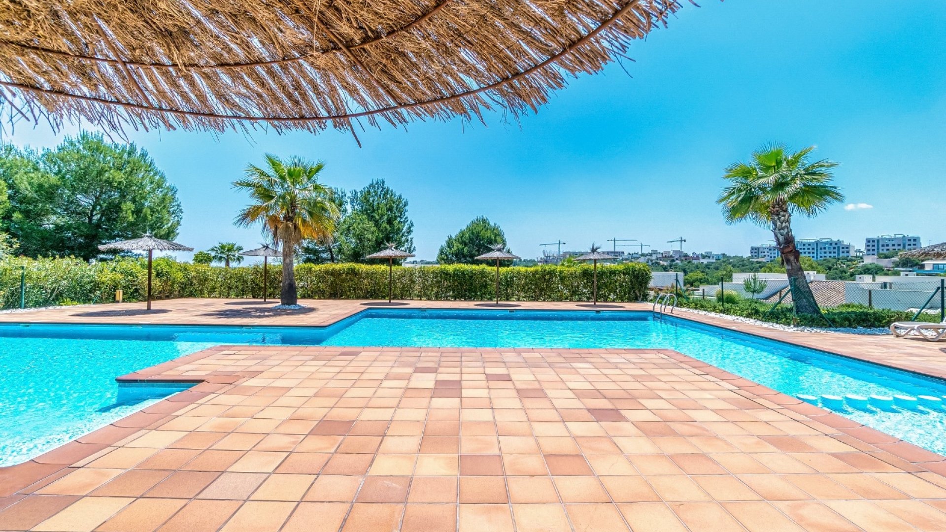 Resale - Apartments -
Orihuela Costa - Las Colinas golf