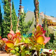 Resale - Apartments -
Orihuela Costa - Lomas de Campoamor