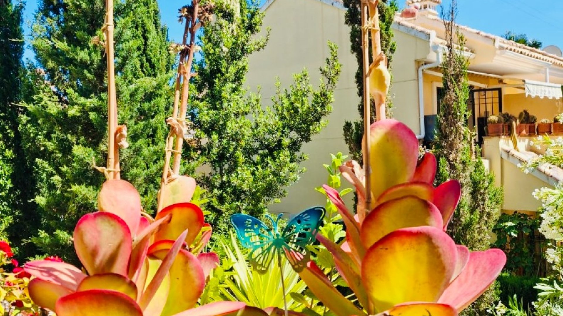 Resale - Apartments -
Orihuela Costa - Lomas de Campoamor