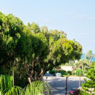 Resale - Apartments -
Orihuela Costa - Playa Flamenca Norte