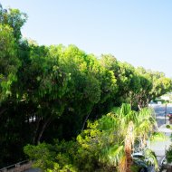 Resale - Apartments -
Orihuela Costa - Playa Flamenca Norte