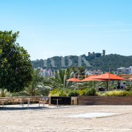 Resale - Apartments -
Palma - Santa Catalina