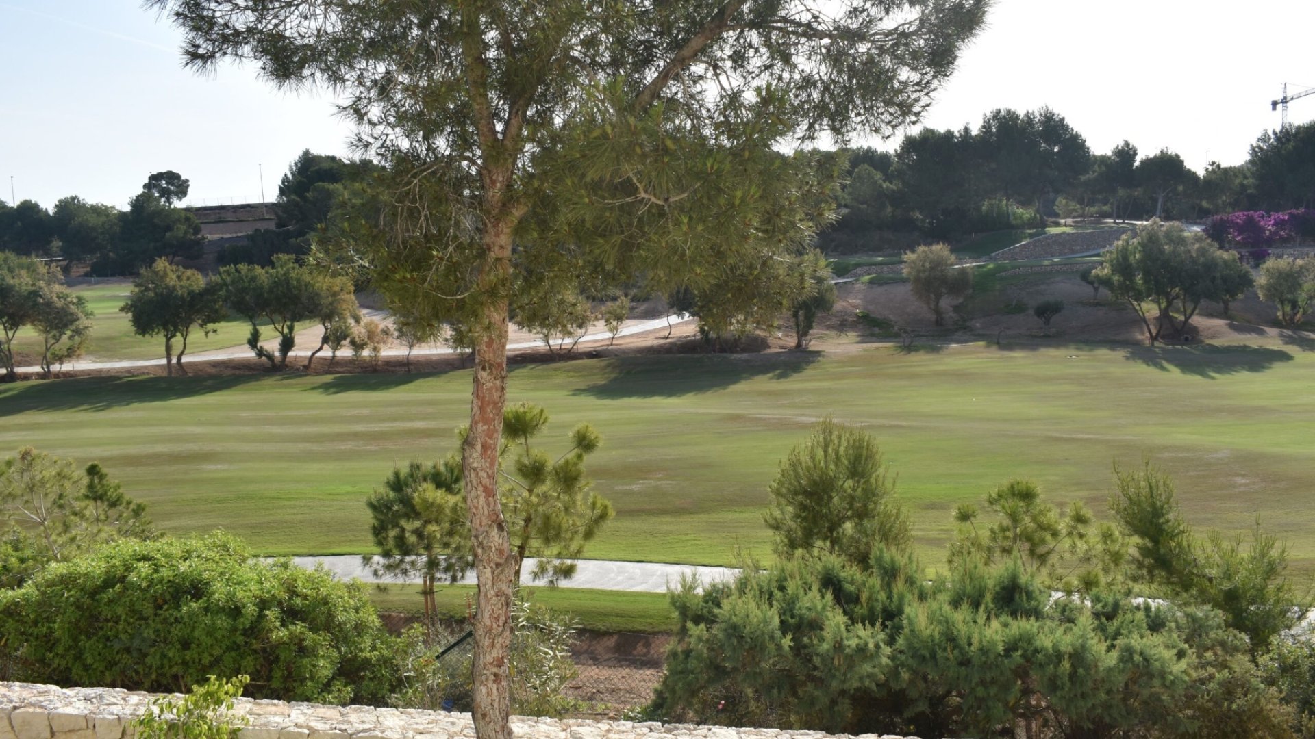 Resale - Apartments -
Pilar de la Horadada - Lo Romero Golf