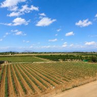 Resale - Apartments -
Rojales - Los Palacios
