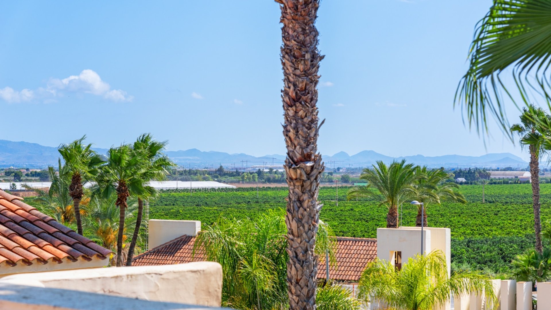Resale - Apartments -
San Javier - Roda