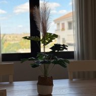 Resale - Apartments -
San Miguel de Salinas