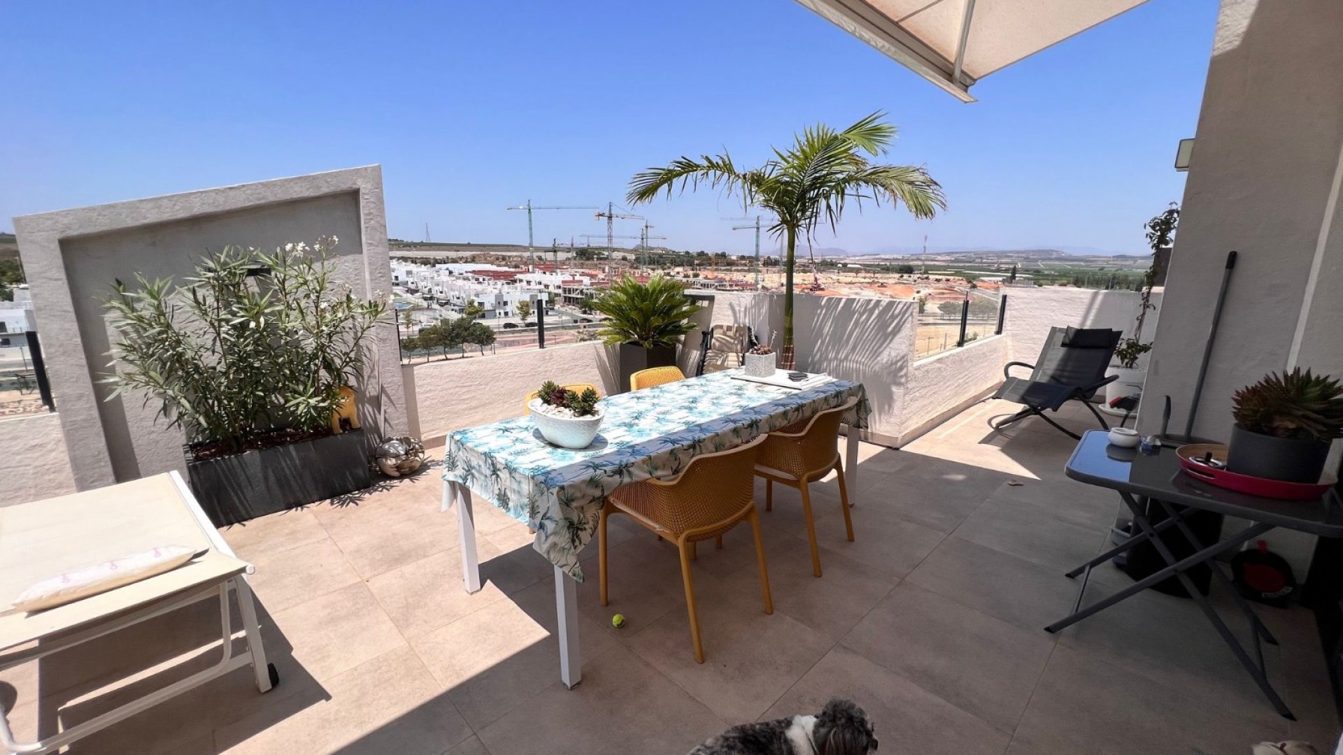 Resale - Apartments -
San Miguel de Salinas