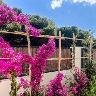 Resale - Apartments -
Santiago de la Ribera - zona san blas