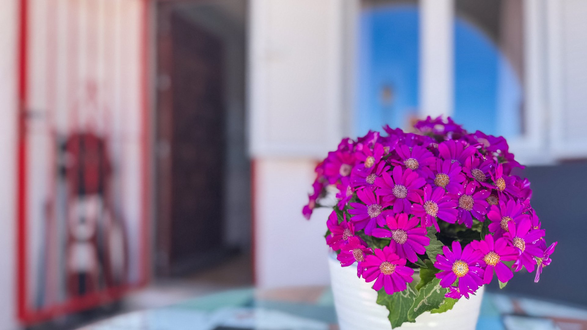 Resale - Apartments -
Torrevieja - Cabo Cervera