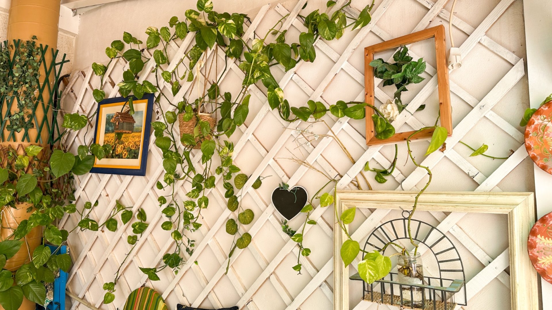 Resale - Apartments -
Torrevieja - Center