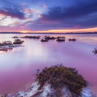 Resale - Apartments -
Torrevieja - La Mata