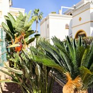 Resale - Apartments -
Torrevieja - La Mata