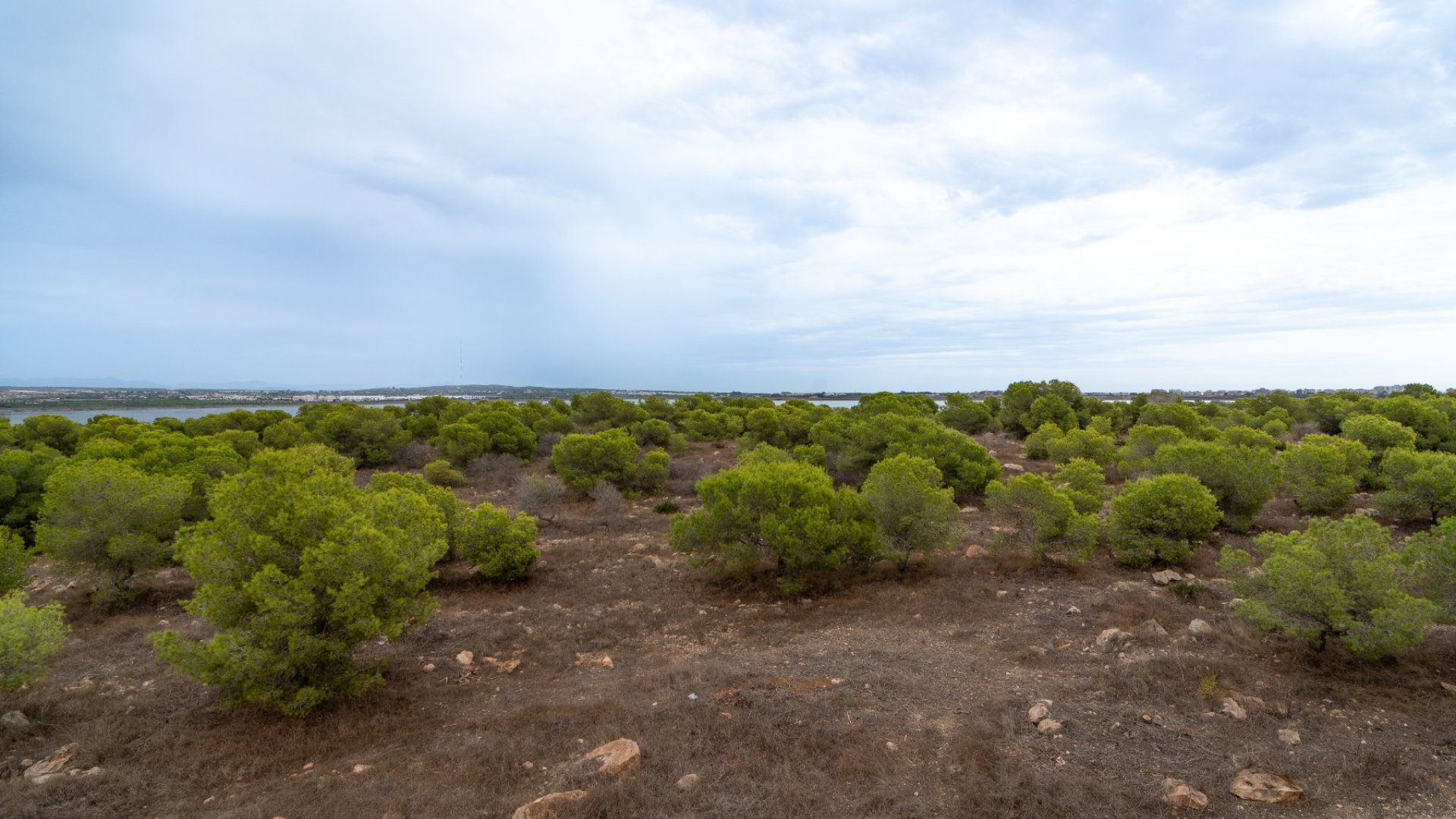 Resale - Apartments -
Torrevieja - La Siesta