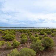 Resale - Apartments -
Torrevieja - La Siesta