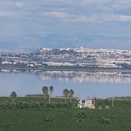 Resale - Apartments -
Torrevieja - Los Balcones