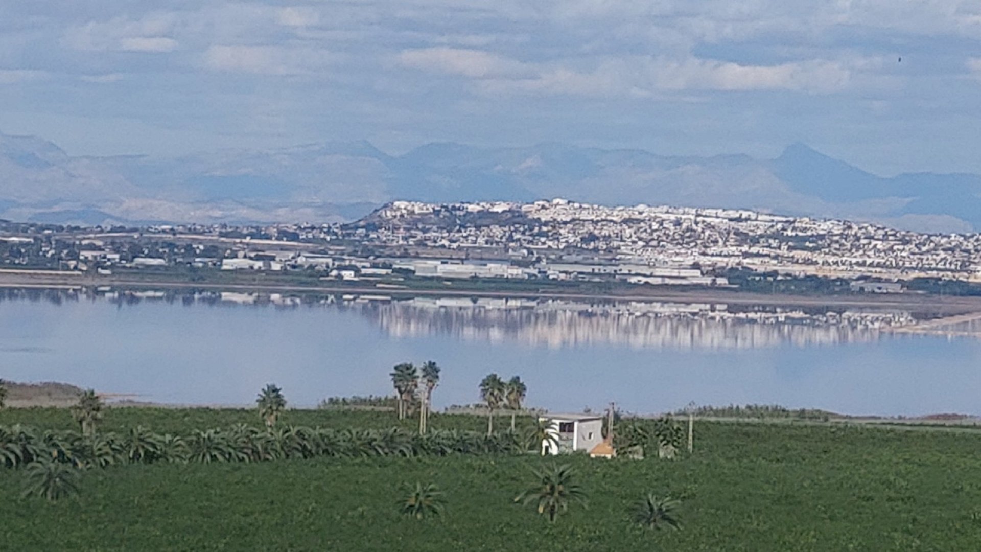 Resale - Apartments -
Torrevieja - Los Balcones