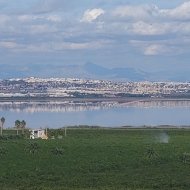 Resale - Apartments -
Torrevieja - Los Balcones