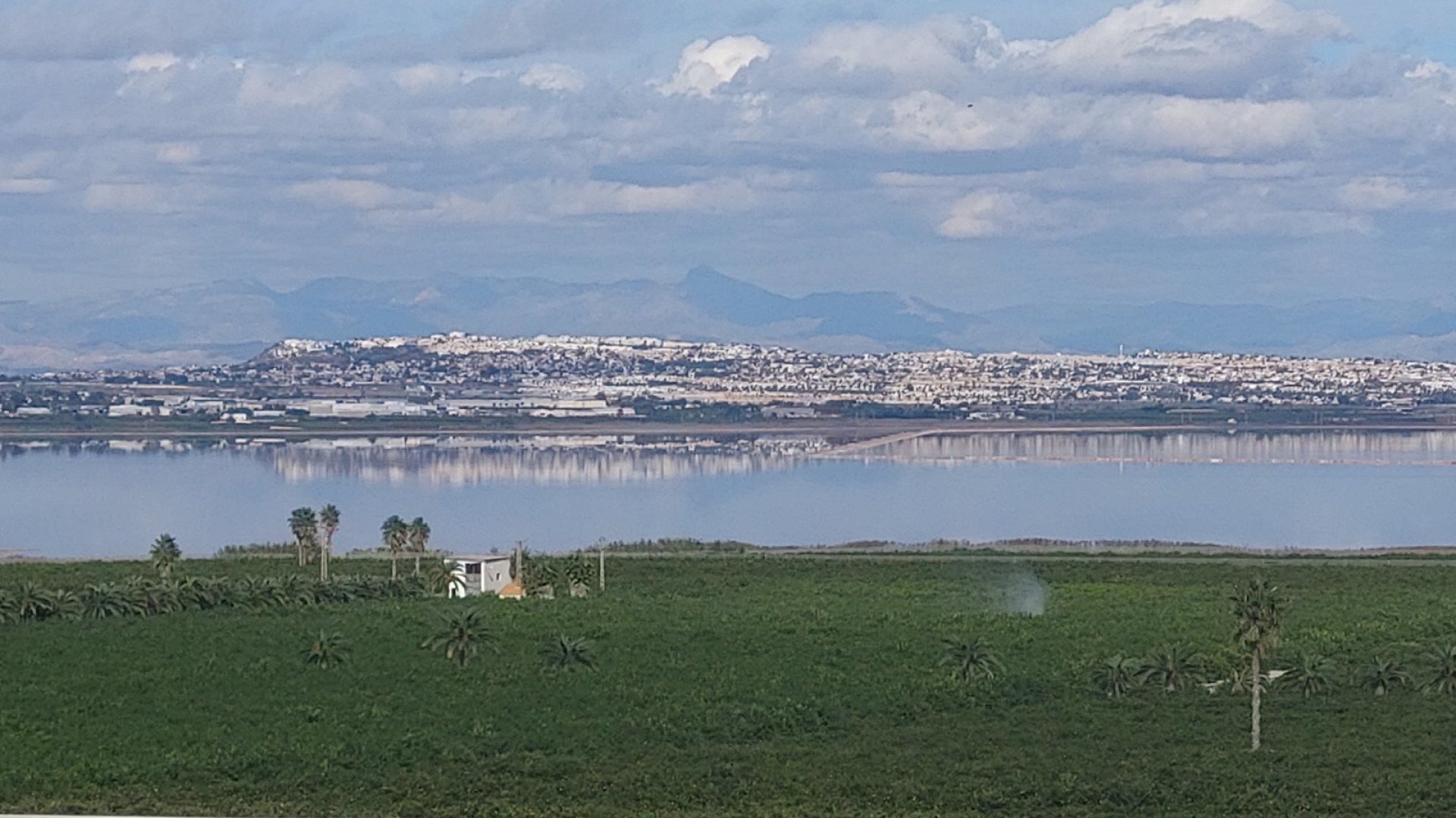 Resale - Apartments -
Torrevieja - Los Balcones