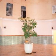 Resale - Apartments -
Torrevieja - Playa Los Locos