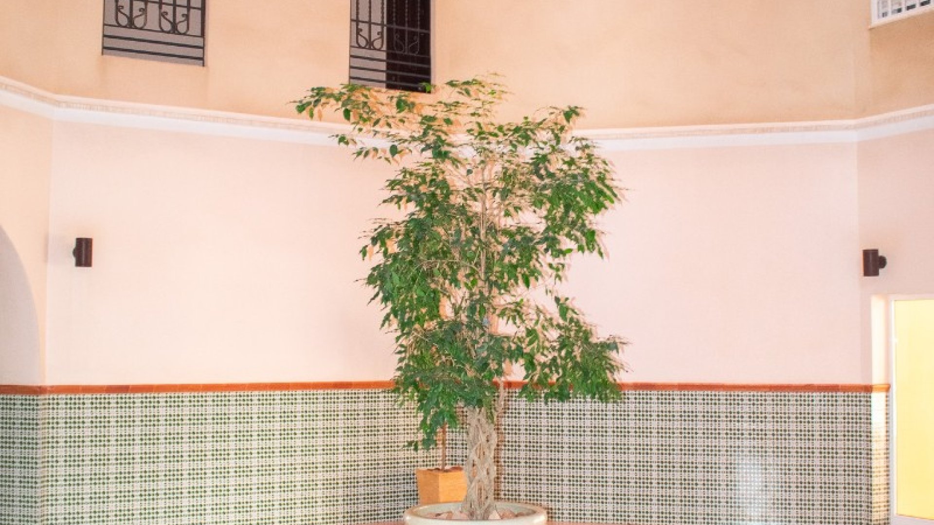 Resale - Apartments -
Torrevieja - Playa Los Locos