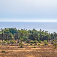 Resale - Apartments -
Torrevieja - Punta Prima