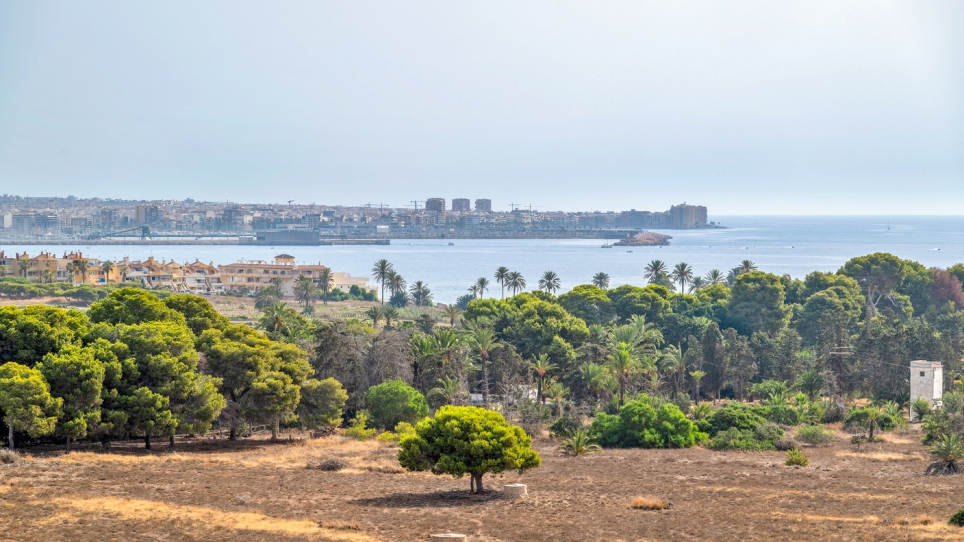 Resale - Apartments -
Torrevieja - Punta Prima