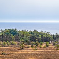 Resale - Apartments -
Torrevieja - Punta Prima