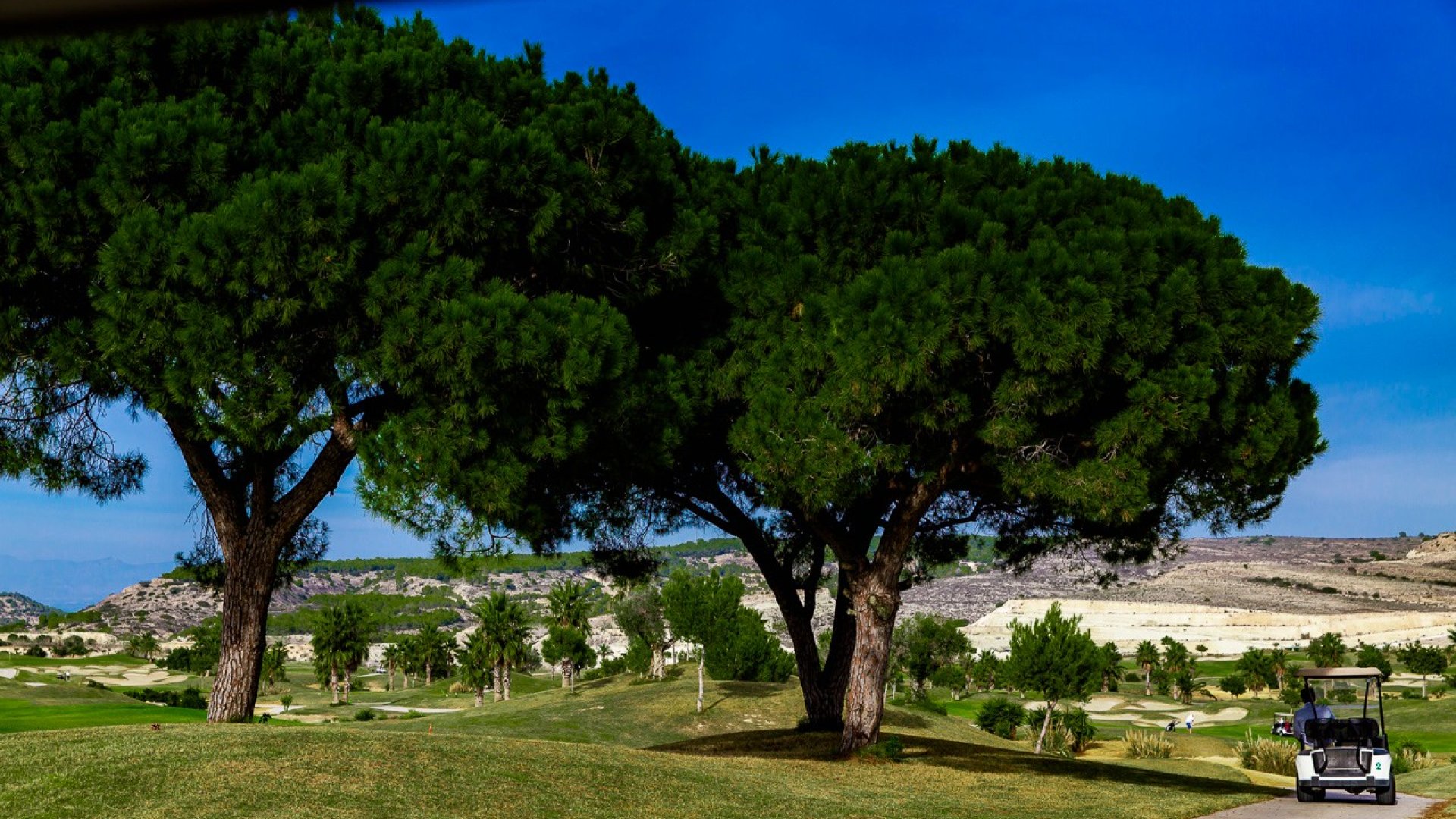 Resale - Apartments -
Vistabella Golf - Vistabella