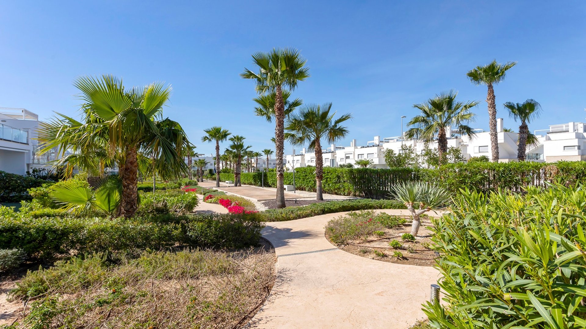 Resale - Apartments -
Vistabella - Vistabella Golf