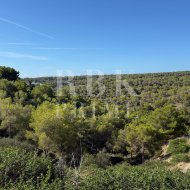 Resale - Land -
Calvià - Sol de Mallorca