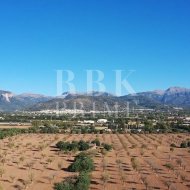 Resale - Land -
Inca