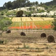 Resale - Land -
Montuiri