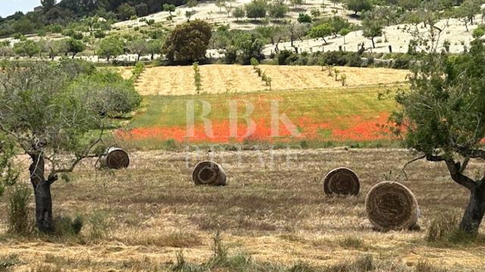 Resale - Land -
Montuiri