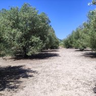 Resale - Land -
Muro de Alcoy