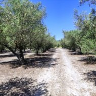 Resale - Land -
Muro de Alcoy
