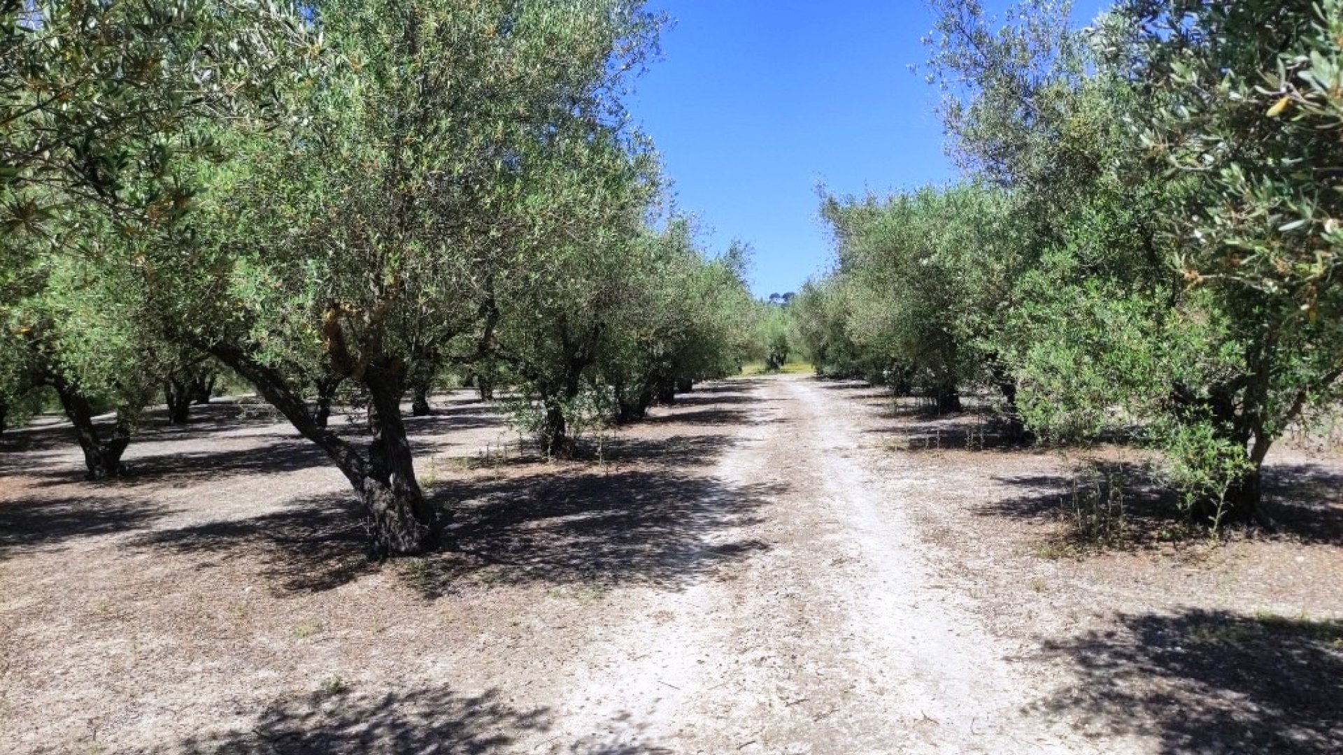 Resale - Land -
Muro de Alcoy