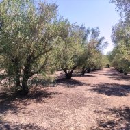 Resale - Land -
Muro de Alcoy