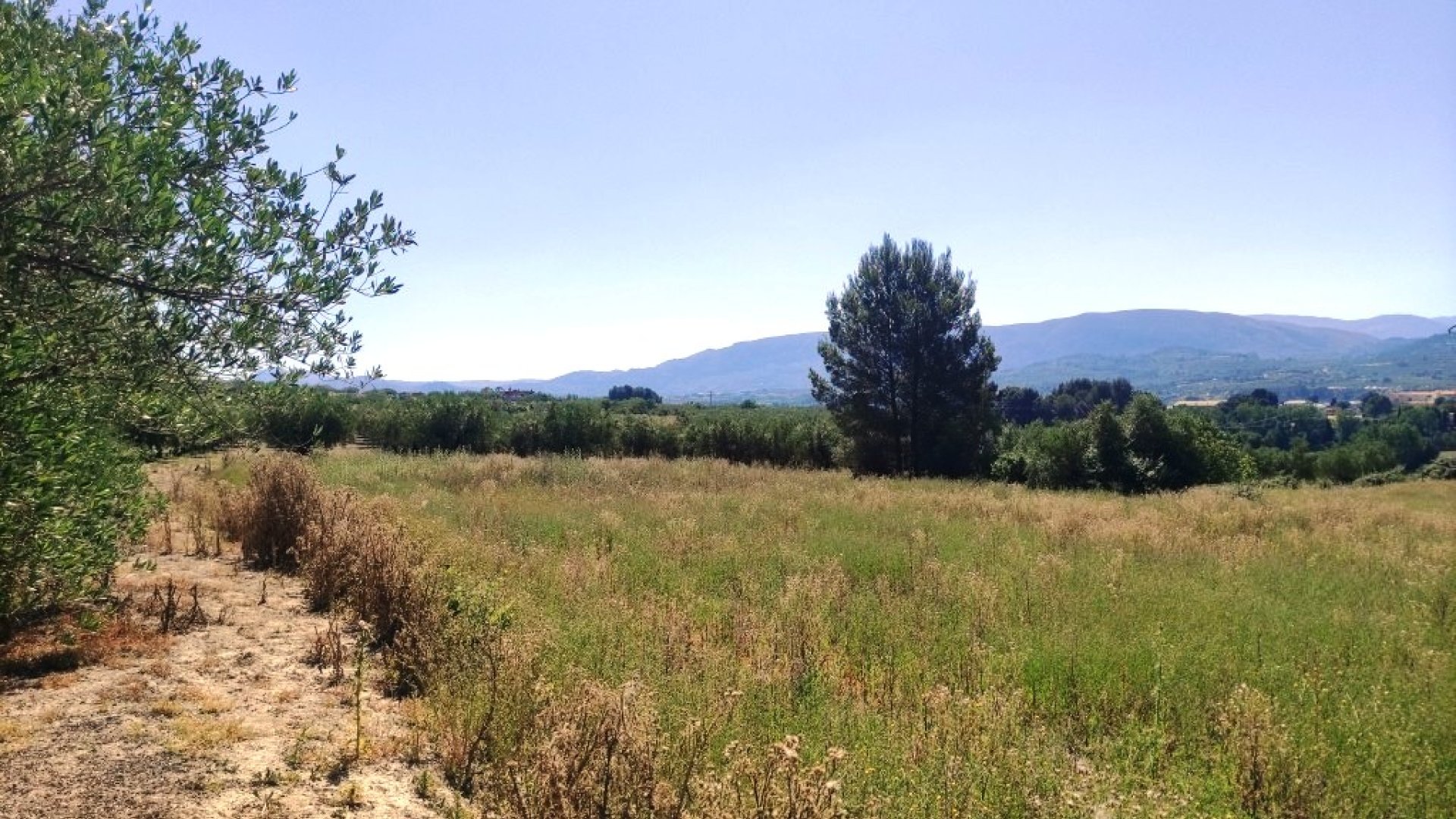 Resale - Land -
Muro de Alcoy
