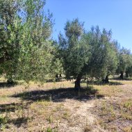 Resale - Land -
Muro de Alcoy
