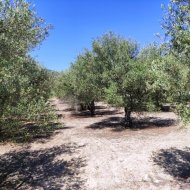 Resale - Land -
Muro de Alcoy