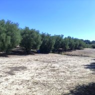 Resale - Land -
Muro de Alcoy