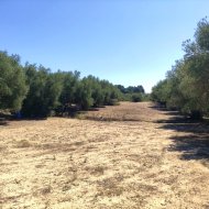 Resale - Land -
Muro de Alcoy