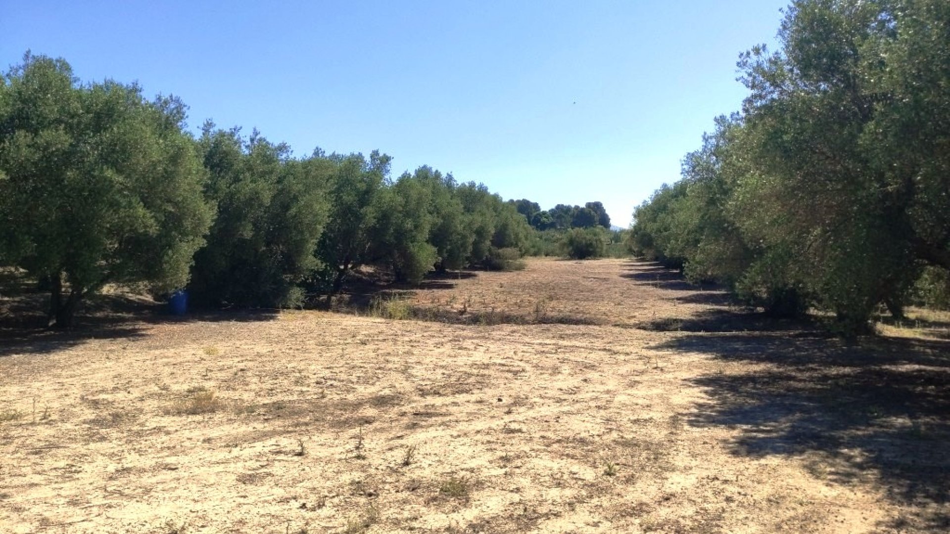 Resale - Land -
Muro de Alcoy
