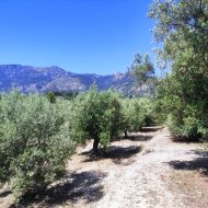 Resale - Land -
Muro de Alcoy