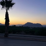 Resale - Townhouse -
Algorfa