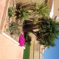 Resale - Townhouse -
Ciudad Quesada - Doña Pepa