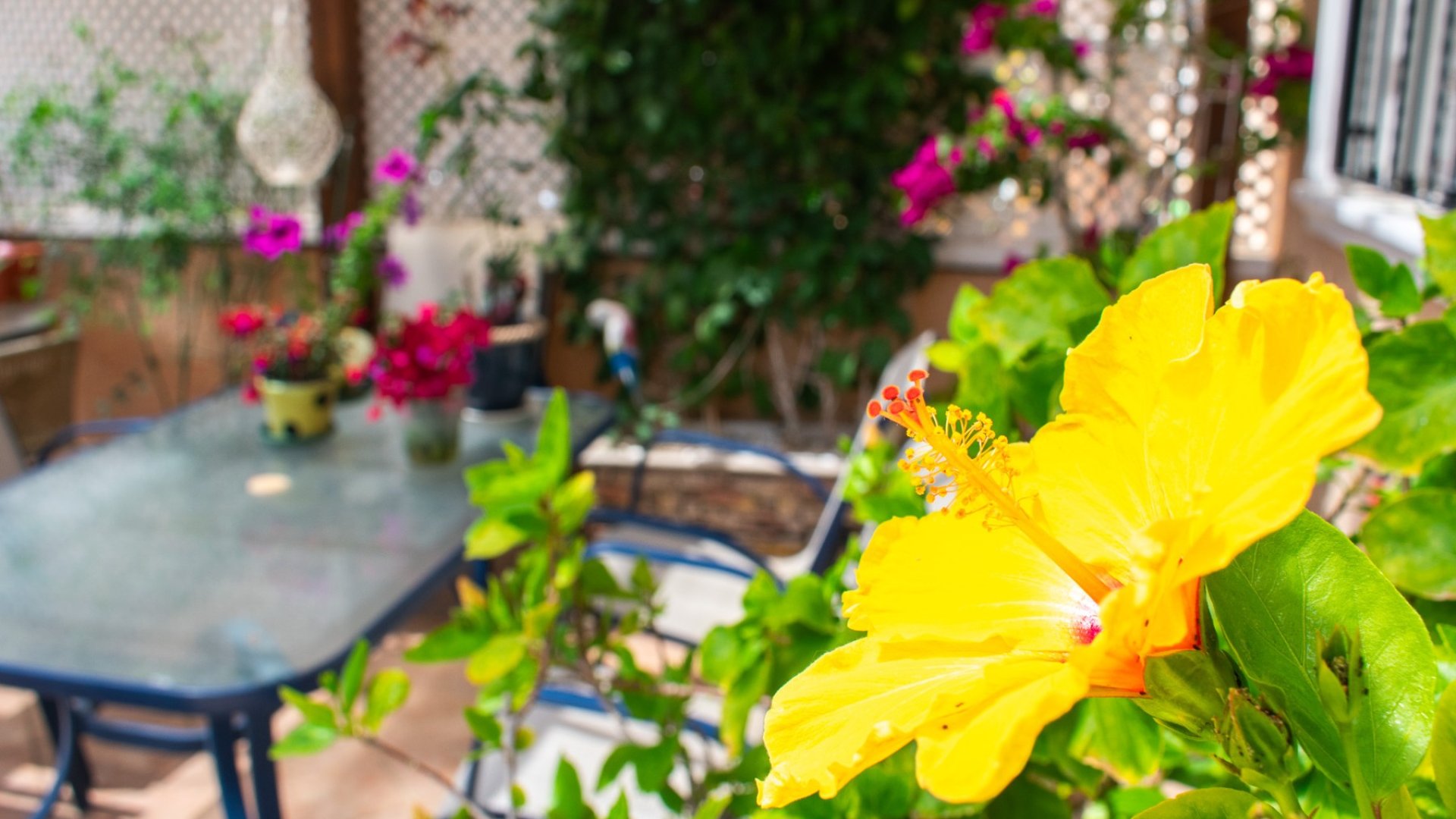 Resale - Townhouse -
Orihuela Costa - Los Dolses