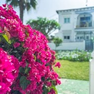 Resale - Townhouse -
Torrevieja - Lago Jardin